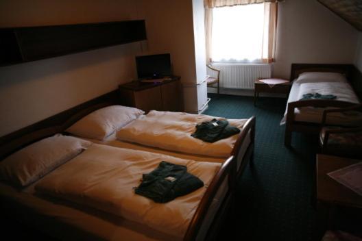 Hotel Star 4,5 Loučná pod Klínovcem Стая снимка